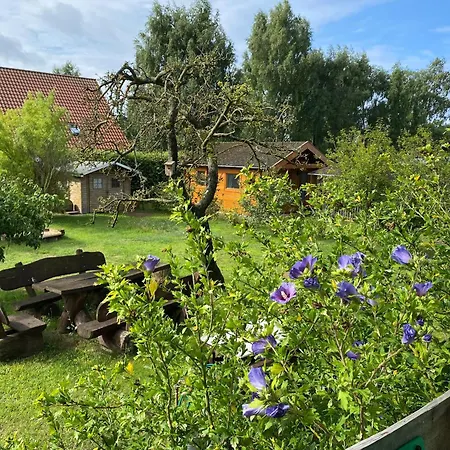 Dom wakacyjny Maria 6 Schlafzimmer & Sauna Koserow